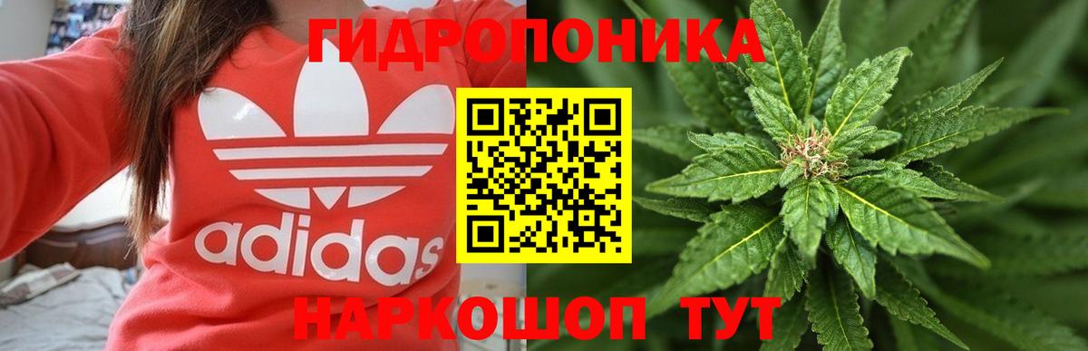 Бошки Шишки AK-47 Балашов